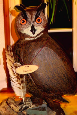Uhu (Jahresvogel 2005) v. Helmut Schulte; Foto © R. Plath