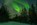 Aurora und Orcas, Foto © Peter Lütkes