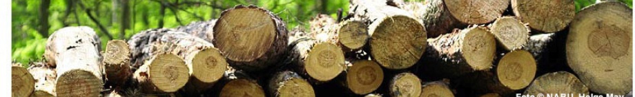 Holzstapel, Foto © NABU, Helge May
